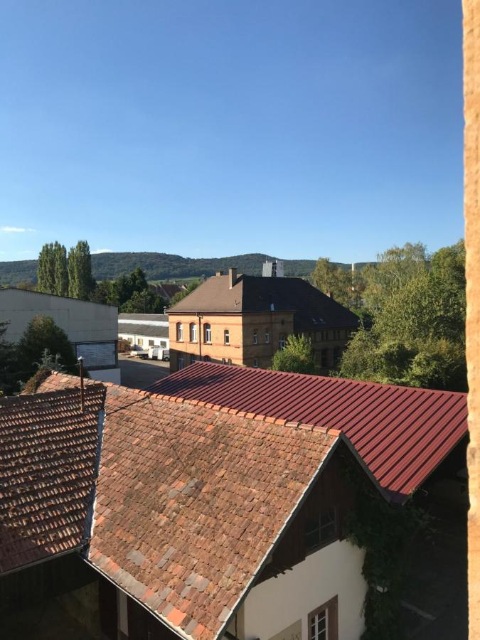 Hotel Weiss Wissembourg Eksteriør billede